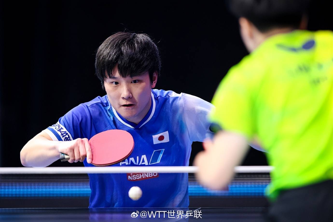 奥地利队翻盘波兰队,张本智和刷新纪录的简单介绍 奥地利队翻盘波兰队,张本智和刷新纪录的简单介绍