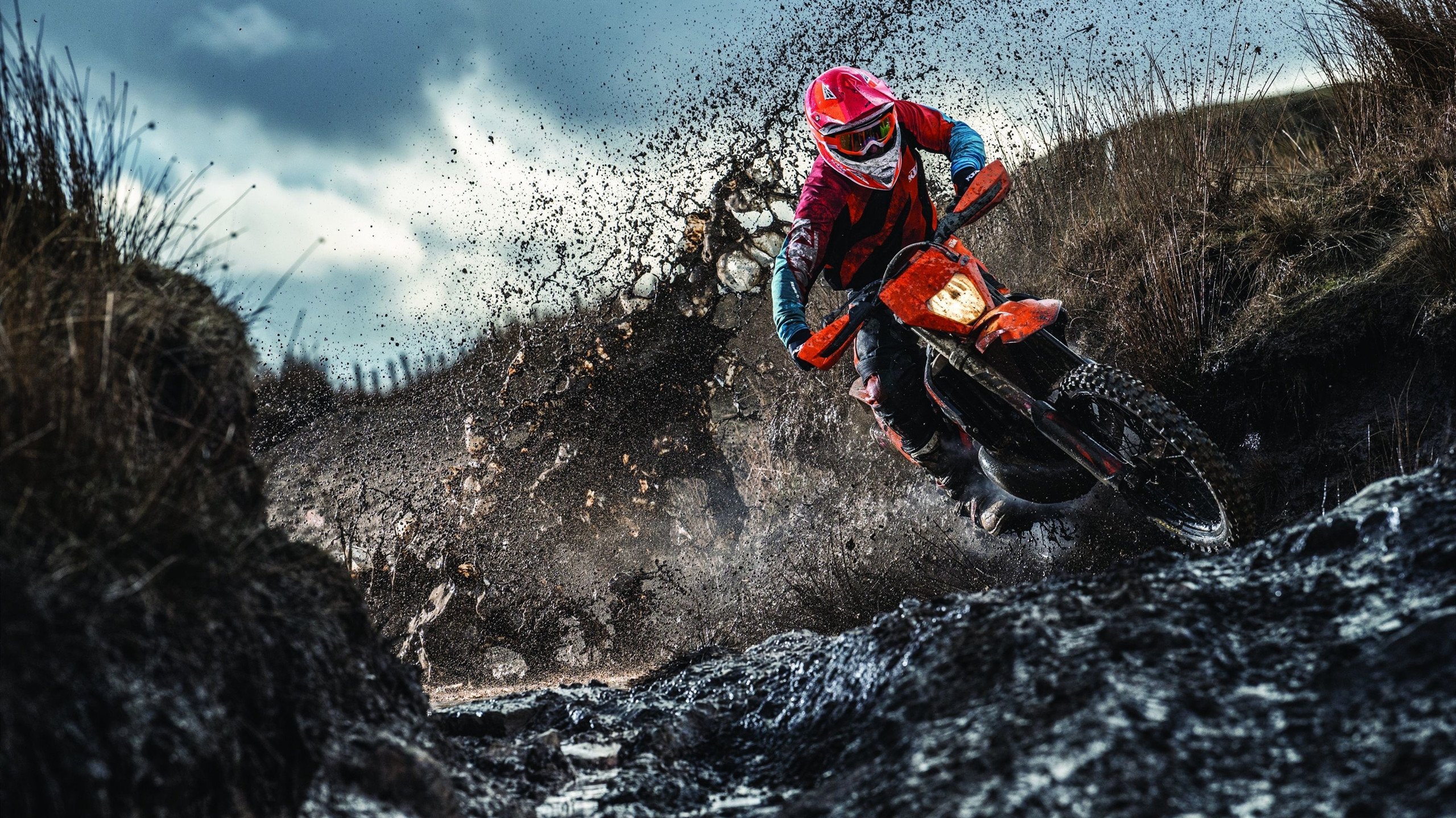 夜刃出鞘，福克斯进攻端无人可挡的封神之路